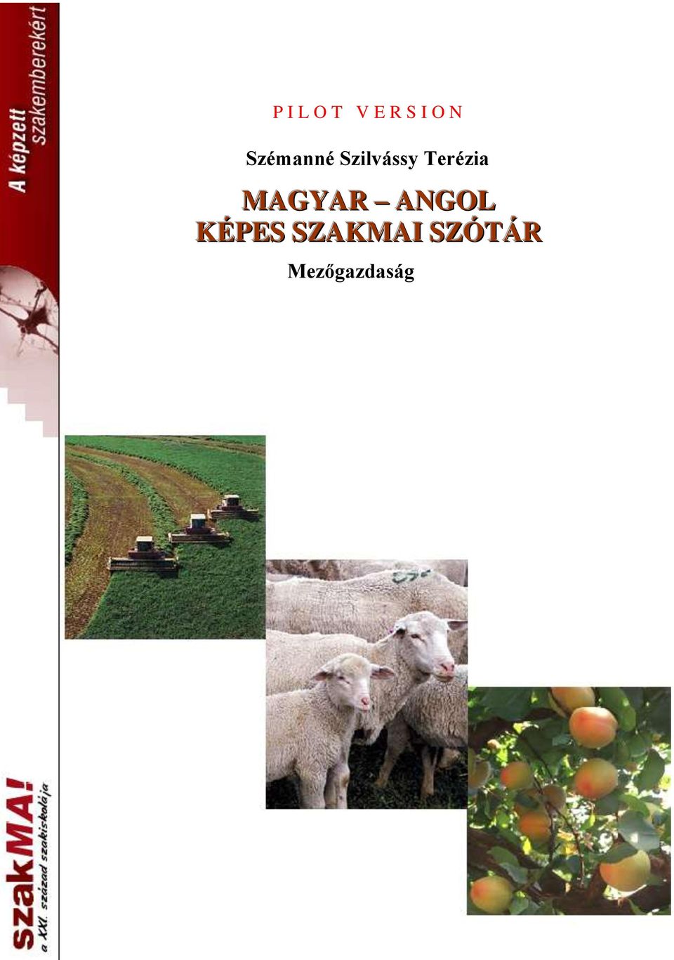 Terézia MAGYAR ANGOL