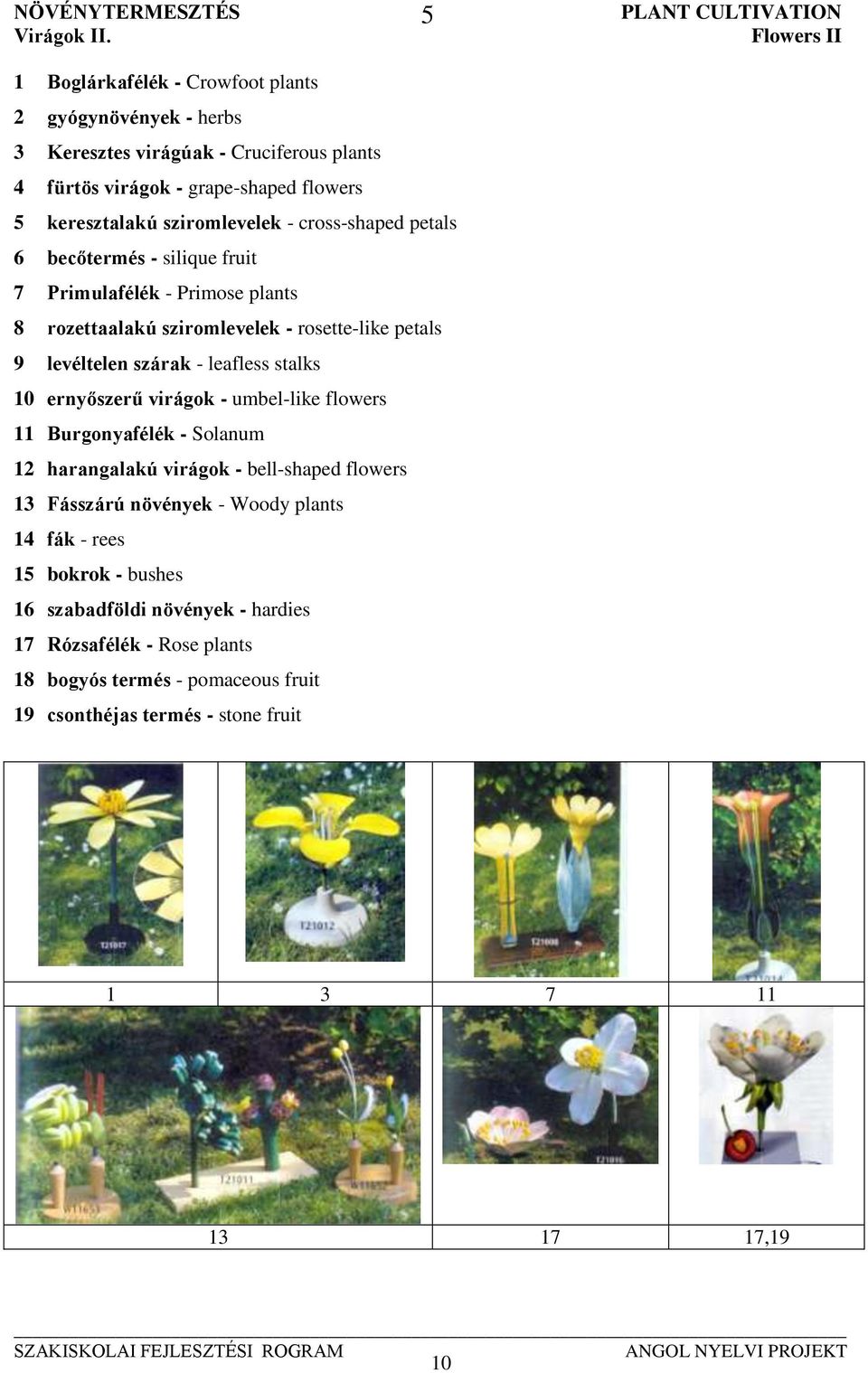 keresztalakú sziromlevelek - cross-shaped petals 6 becőtermés - silique fruit 7 Primulafélék - Primose plants 8 rozettaalakú sziromlevelek - rosette-like petals 9 levéltelen szárak