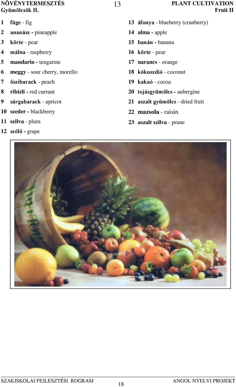 - peach 8 ribizli - red currant 9 sárgabarack - apricot 10 szeder - blackberry 11 szilva - plum 12 szőlő - grape 13 PLANT CULTIVATION