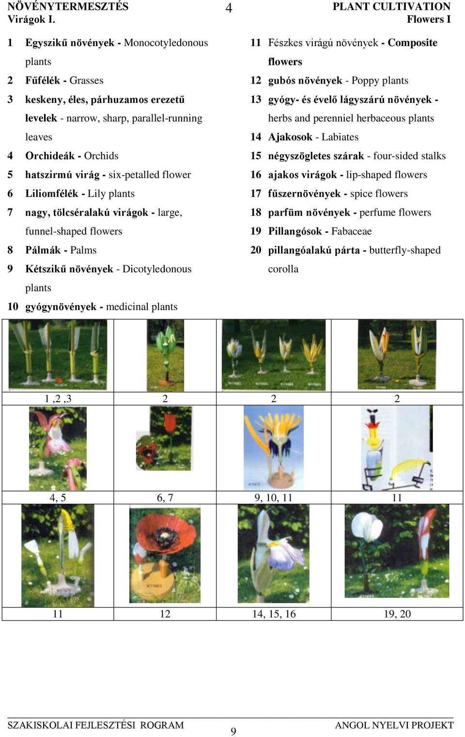 six-petalled flower 6 Liliomfélék - Lily plants 7 nagy, tölcséralakú virágok - large, funnel-shaped flowers 8 Pálmák - Palms 9 Kétszikű növények - Dicotyledonous plants 10 gyógynövények - medicinal