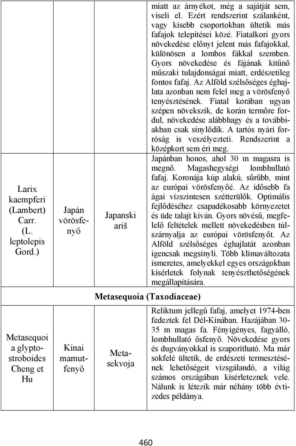 Ezért rendszerint szálanként, vagy kisebb csoportokban ültetik más fafajok telepítései közé. Fiatalkori gyors növekedése előnyt jelent más fafajokkal, különösen a lombos fákkal szemben.