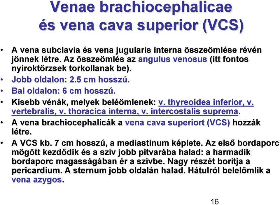 thyreoidea inferior, v. vertebralis, v. thoracica interna, v. intercostalis suprema. A vena brachiocephalicák k a vena cava superiort (VCS) hozzák létre. A VCS kb.
