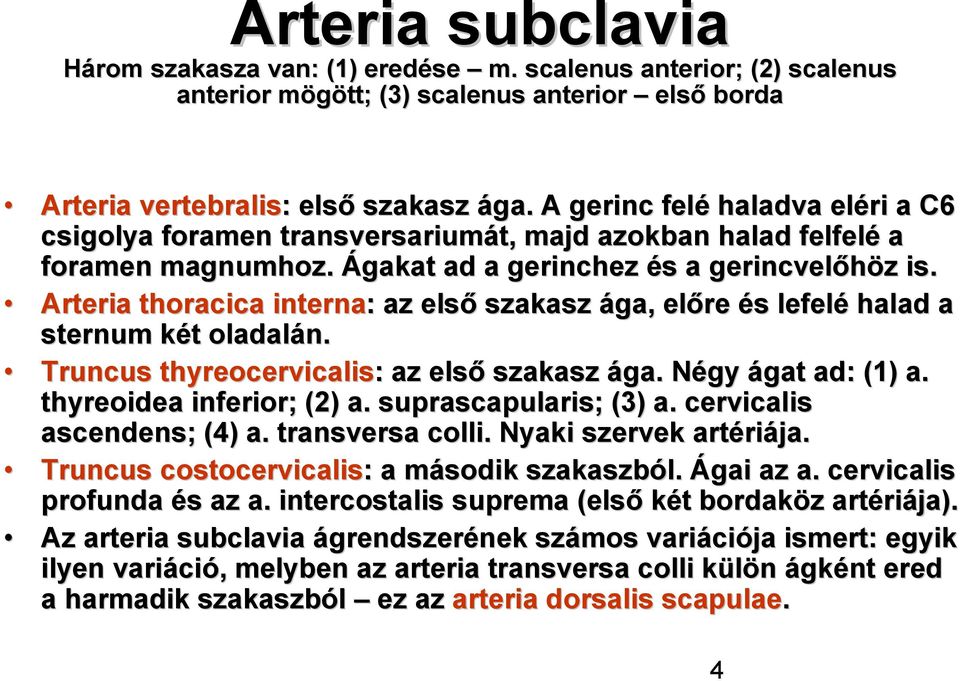Arteria thoracica interna: : az első szakasz ága, előre és s lefelé halad a sternum két k t oladalán. Truncus thyreocervicalis: : az első szakasz ága. Négy N ágat ad: (1) a.