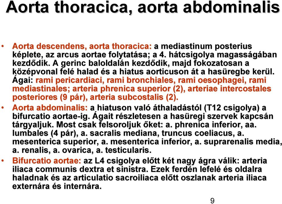 Ágai: rami pericardiaci, rami bronchiales, rami oesophagei, rami mediastinales; arteria phrenica superior (2), arteriae intercostales posteriores (9 pár), p arteria subcostalis (2).