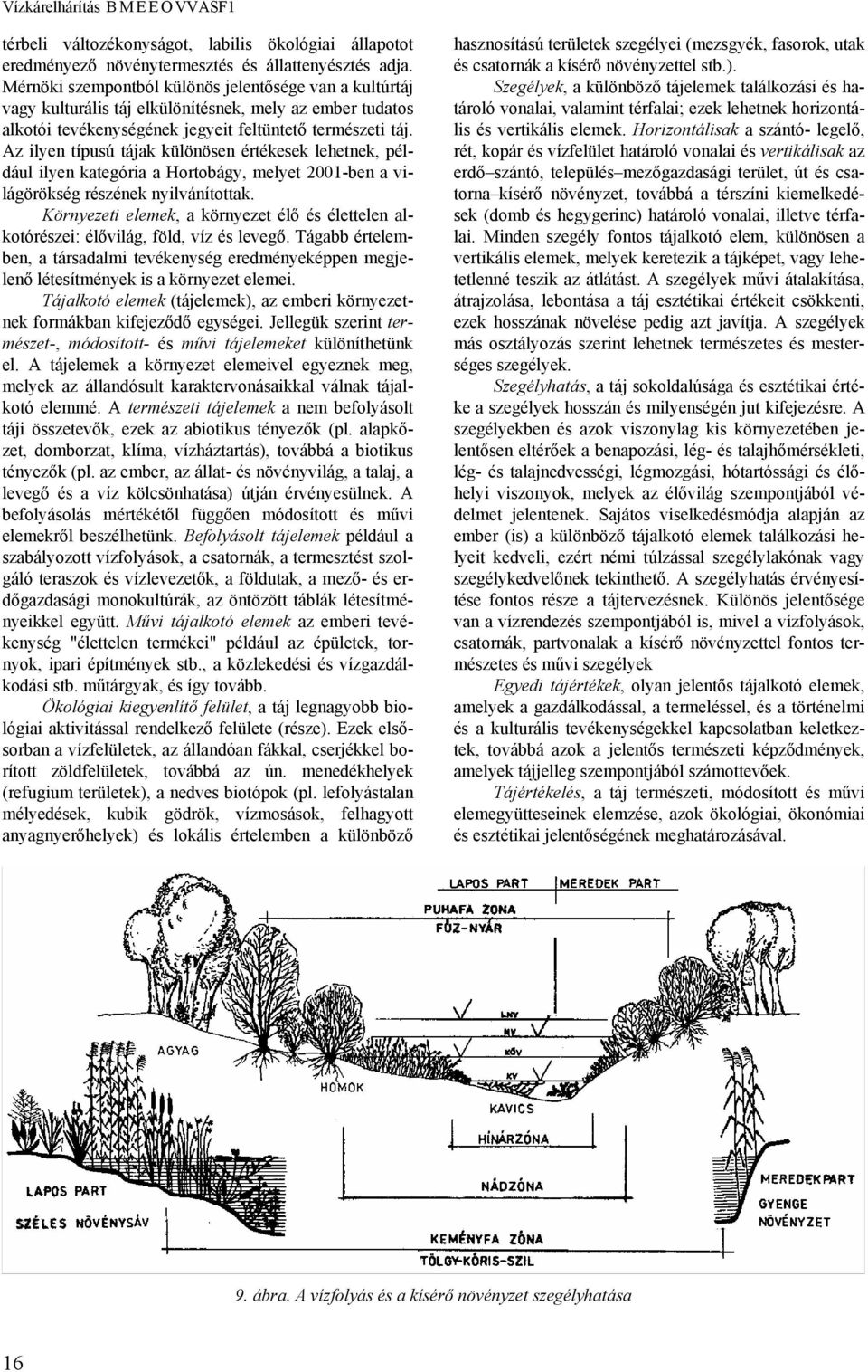 Az ilyen típusú tájak különösen értékesek lehetnek, például ilyen kategória a Hortobágy, melyet 2001-ben a világörökség részének nyilvánítottak.