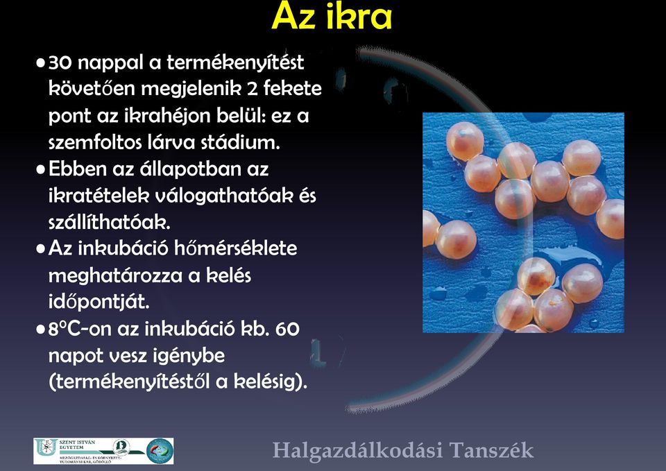 Ebben az állapotban az ikratételek válogathatóak és szállíthatóak.