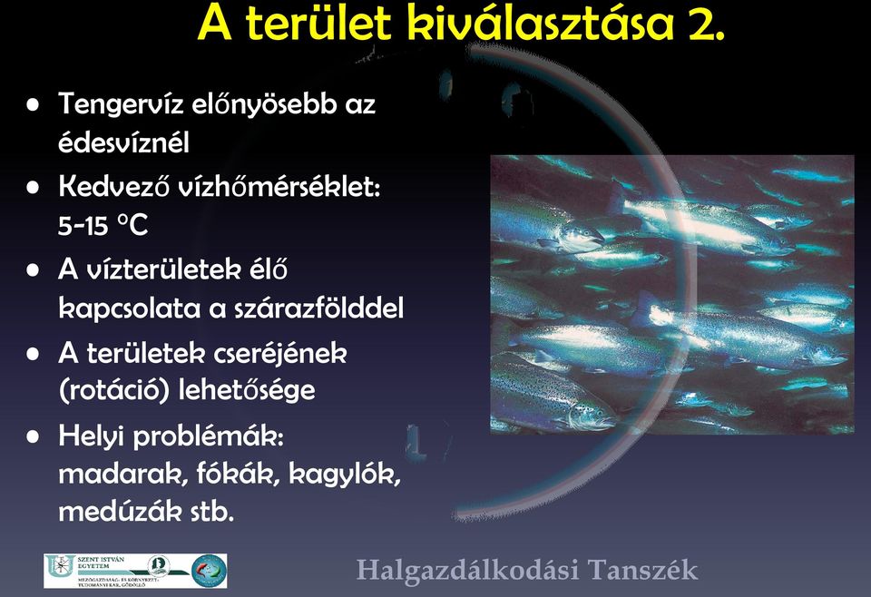 5-15 C A vízterületek élő kapcsolata a szárazfölddel A