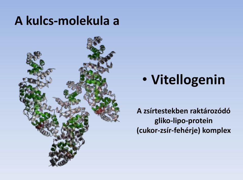 zsírtestekben raktározódó