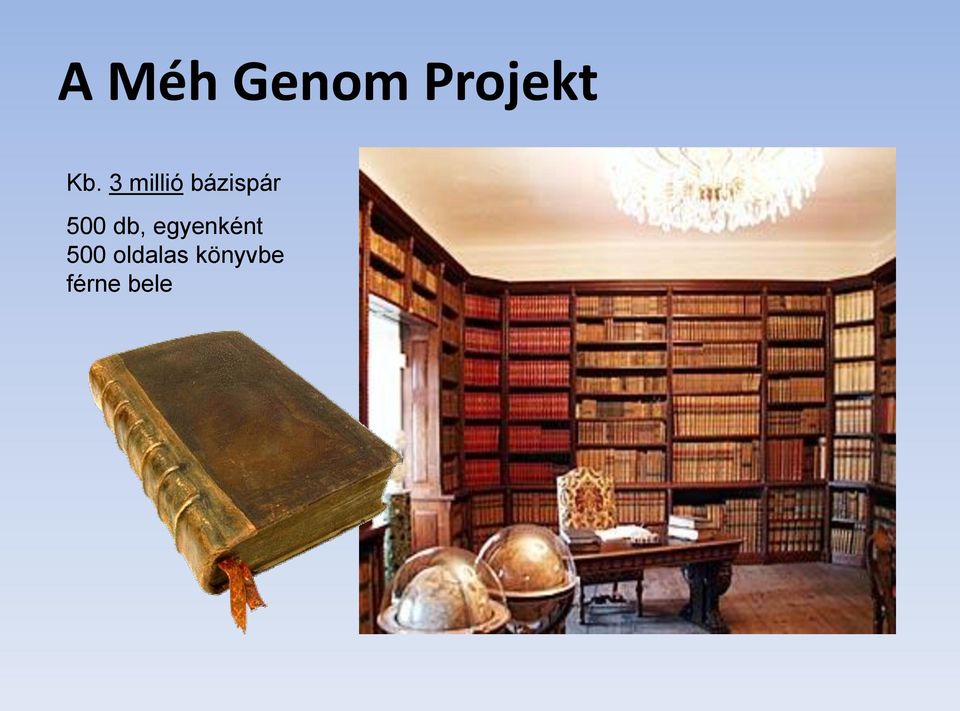db, egyenként 500