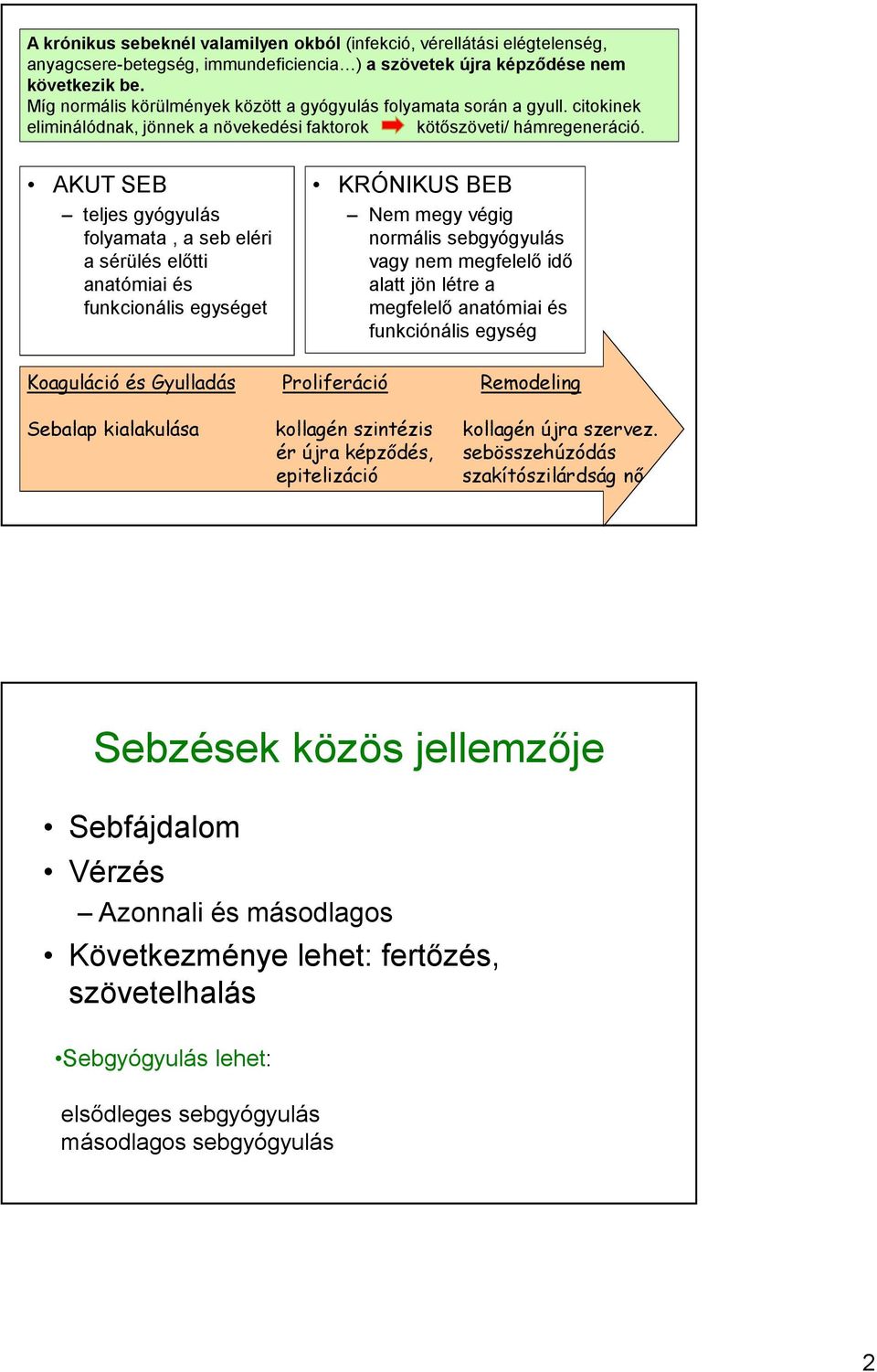 AKUT SEB teljes gyógyulás folyamata, a seb eléri a sérülés előtti anatómiai és funkcionális egységet KRÓNIKUS BEB Nem megy végig normális sebgyógyulás vagy nem megfelelő idő alatt jön létre a