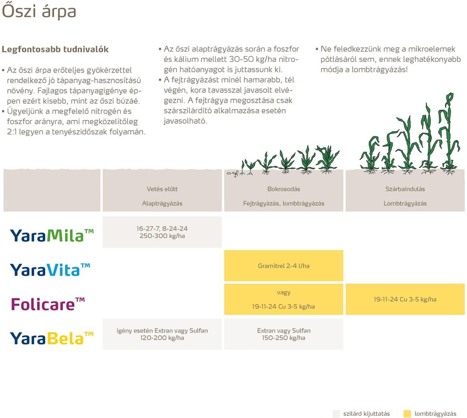 Az őszi alaptrágyázás során a foszfor és kálium mellett 30-50 kg/ha nitrogén hatóanyagot is juttassunk ki. A fejtrágyázást minél hamarabb, tél végén, kora tavasszal javasolt elvégezni.