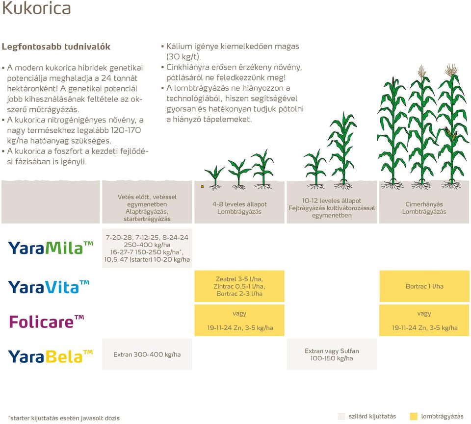 Kálium igénye kiemelkedően magas (30 kg/t). Cinkhiányra erősen érzékeny növény, pótlásáról ne feledkezzünk meg!