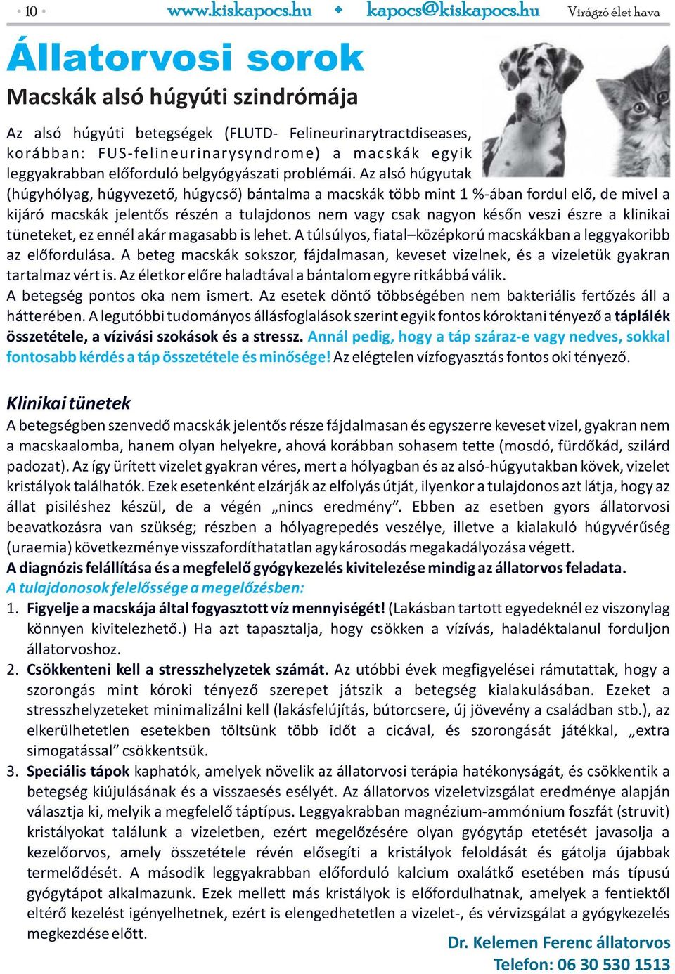 leggyakrabban előforduló belgyógyászati problémái.