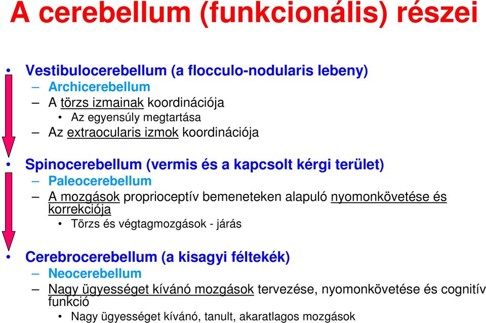 proprioceptív bemeneteken alapuló nyomonkövetése és korrekciója Törzs és végtagmozgások - járás Cerebrocerebellum (a kisagyi féltekék)