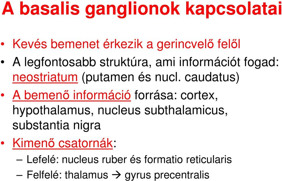 caudatus) A bemenı információ forrása: cortex, hypothalamus, nucleus subthalamicus,