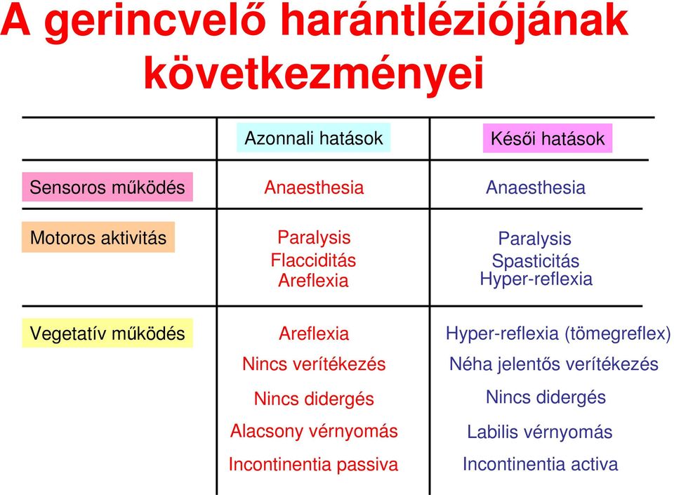 Hyper-reflexia Vegetatív mőködés Areflexia Hyper-reflexia (tömegreflex) Nincs verítékezés Néha jelentıs