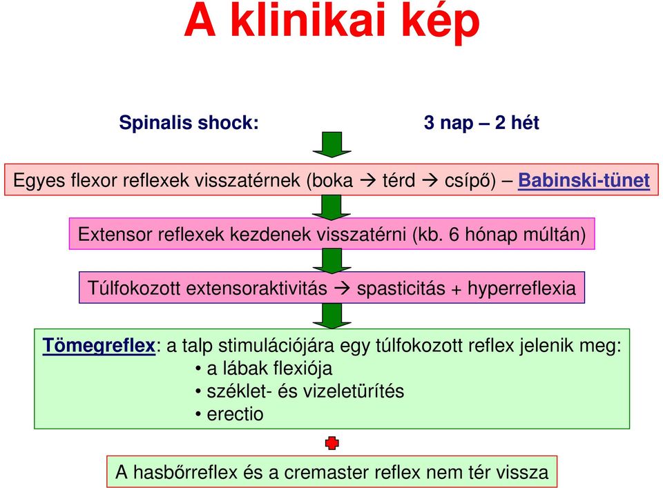 6 hónap múltán) Túlfokozott extensoraktivitás spasticitás + hyperreflexia Tömegreflex: a talp