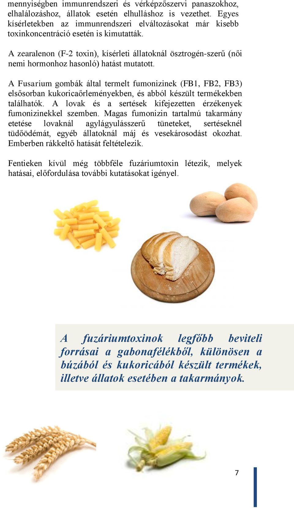 A zearalenon (F-2 toxin), kísérleti állatoknál ösztrogén-szerű (női nemi hormonhoz hasonló) hatást mutatott.