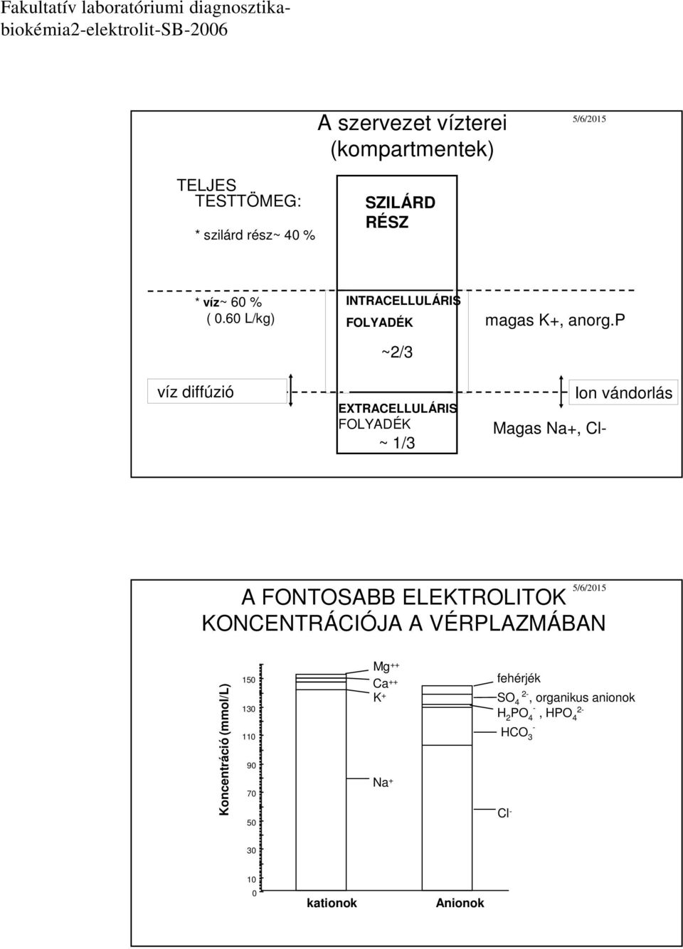 p Magas Na+, Cl- Ion vándorlás A FONTOSABB ELEKTROLITOK KONCENTRÁCIÓJA A VÉRPLAZMÁBAN Koncentráció (mmol/l)