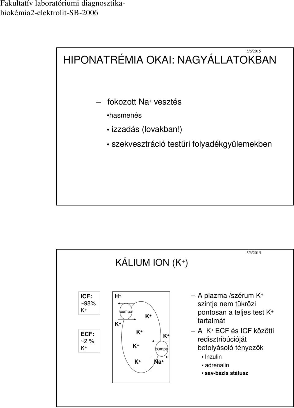 pumpa pumpa Na + A plazma /szérum szintje nem tükrözi pontosan a teljes test tartalmát