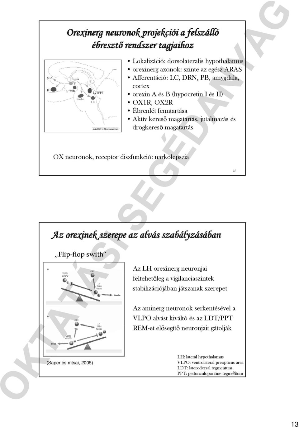 25) Az LH orexinerg neuronjai feltehetőleg a vigilanciaszintek stabilizációjában játszanak szerepet Az aminerg neuronok serkentésével a VLPO alvást kiváltó és az