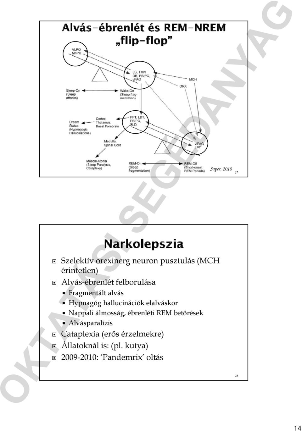 elalváskor Nappali álmosság, ébrenléti REM betörések Alvásparalízis