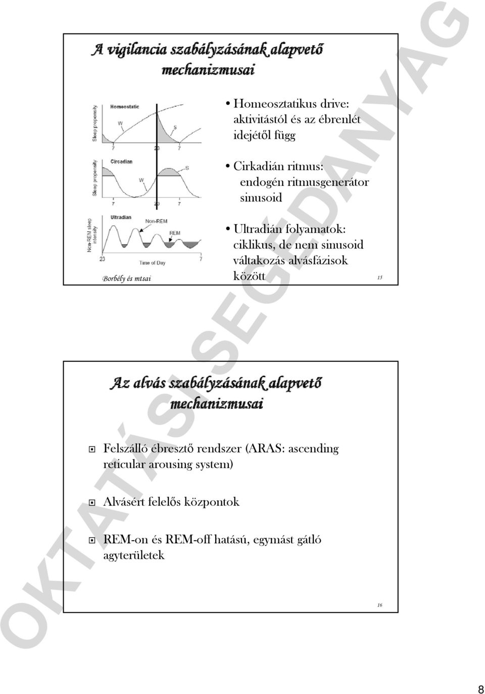 sinusoid váltakozás alvásfázisok között Felszálló ébresztő ő rendszer (ARAS: ascending