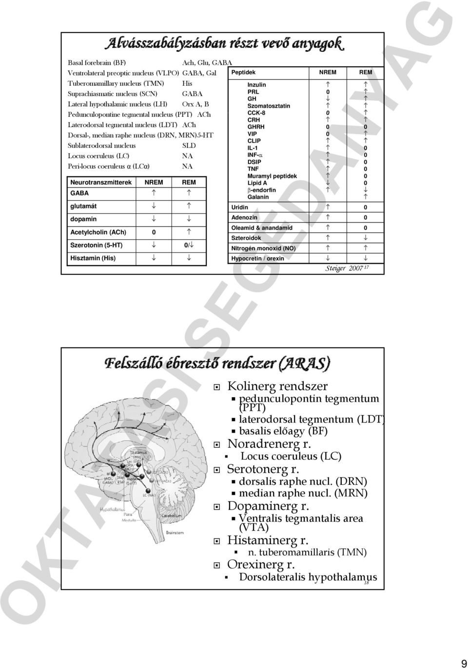 VIP Sublaterodorsal nucleus SLD CLIP IL-1 Locus coeruleus (LC) NA INF- Peri-locus coeruleus α (LCα) NA DSIP TNF Neurotranszmitterek NREM REM Muramyl peptidek Lipid A -endorfin GABA Galanin glutamát