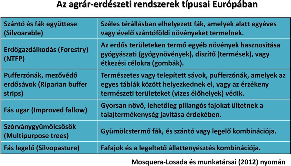 Az erdős területeken termő egyéb növények hasznosítása gyógyászati (gyógynövények), díszítő (termések), vagy étkezési célokra (gombák).