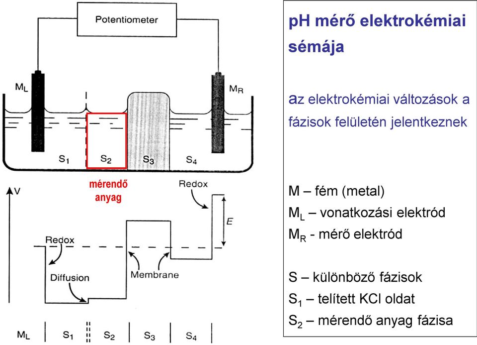 (metal) M L vonatkozási elektród M R - mérő elektród S