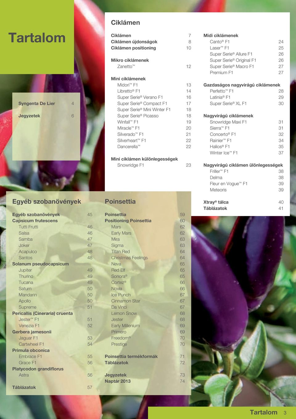 ciklámenek Canto F1 4 Laser F1 5 Super Serie Allure F1 6 Super Serie Original F1 6 Super Serie Macro F1 7 Premium F1 7 Gazdaságos nagyvirágú ciklámenek Perfetto F1 8 Latinia F1 9 Super Serie XL F1 30