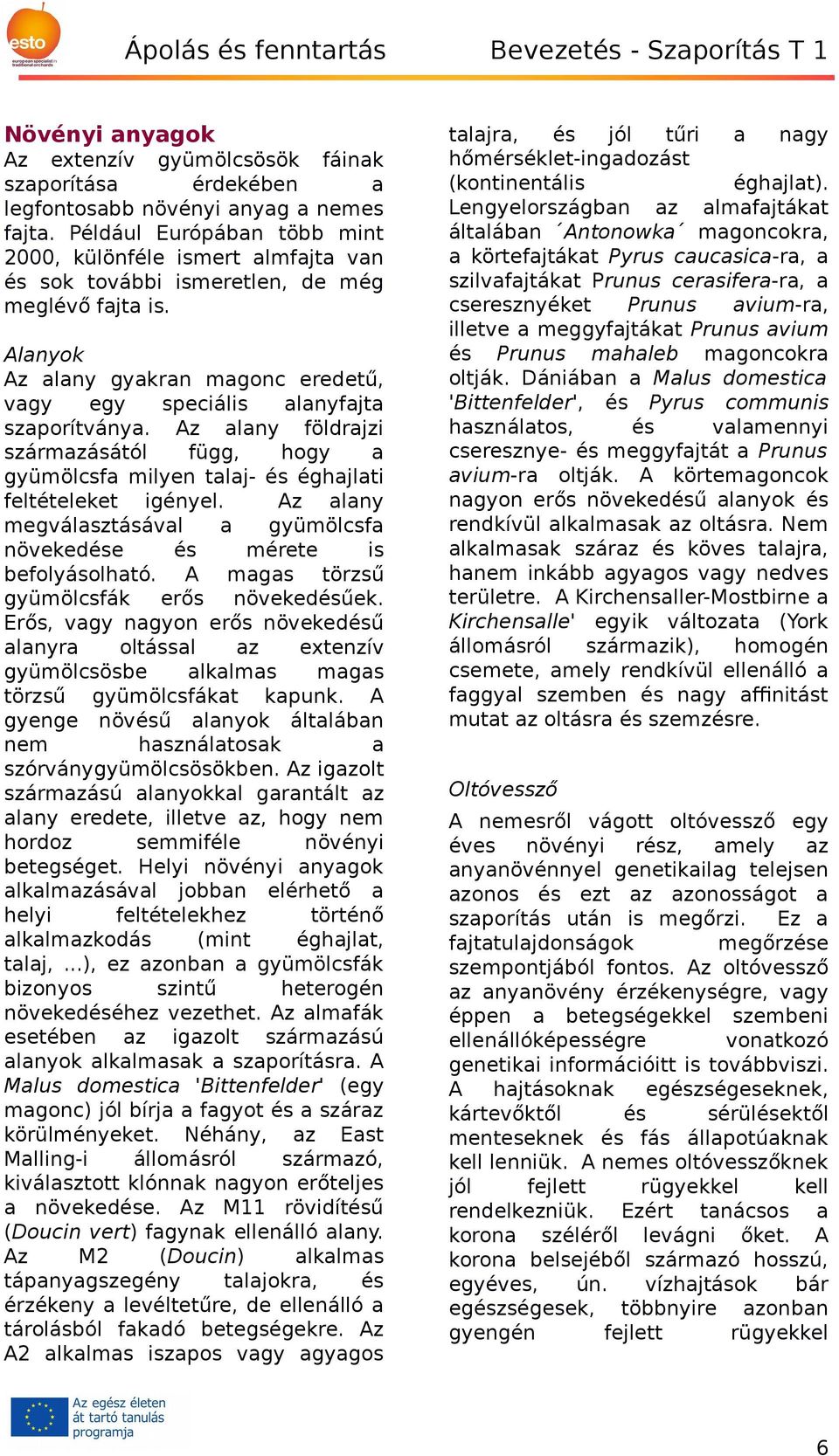 Alanyok Az alany gyakran magonc eredetű, vagy egy speciális alanyfajta szaporítványa. Az alany földrajzi származásától függ, hogy a gyümölcsfa milyen talaj- és éghajlati feltételeket igényel.