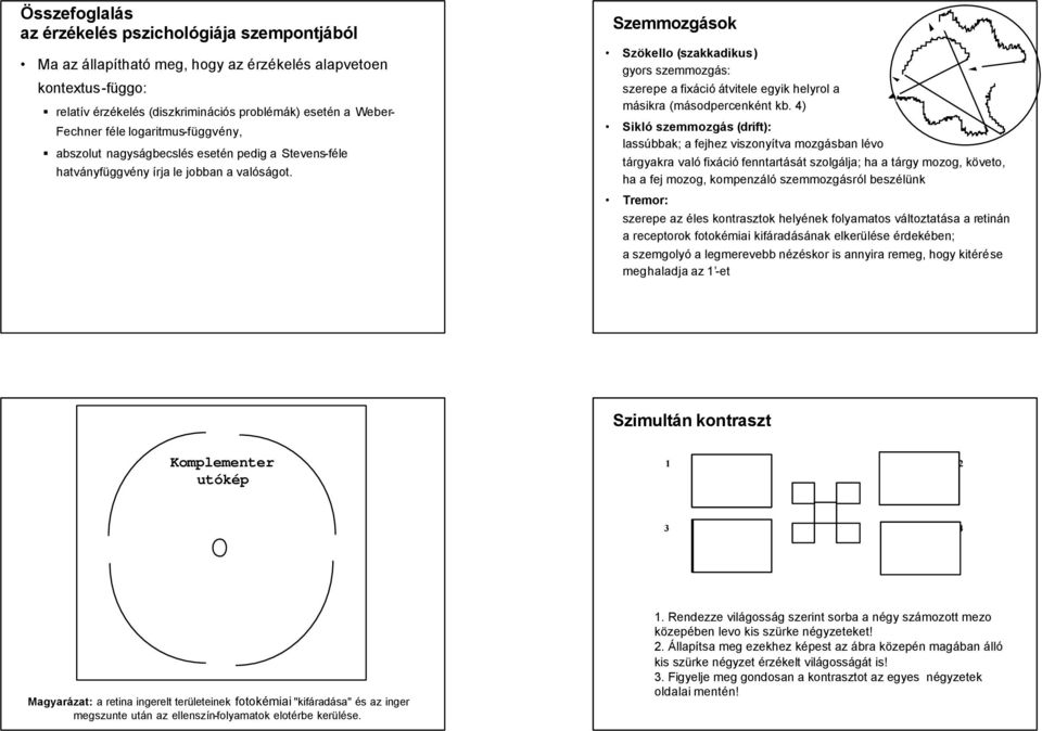 Szemmozgások Szökello (szakkadikus) gyors szemmozgás: szerepe a fixáció átvitele egyik helyrol a másikra (másodpercenként kb.