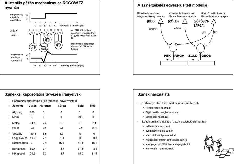 Példánkban háromszor erosebb az ON mezo hatása Rövid hullámhosszú fényre érzékeny receptor serkento Közepes hullámhosszú fényre érzékeny receptor (KK) (ZÖLD) (VÖRÖSES- SÁRGA) serkento Hosszú