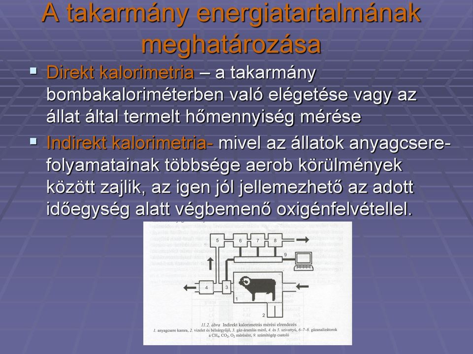 Indirekt kalorimetria- mivel az állatok anyagcserefolyamatainak többsége aerob