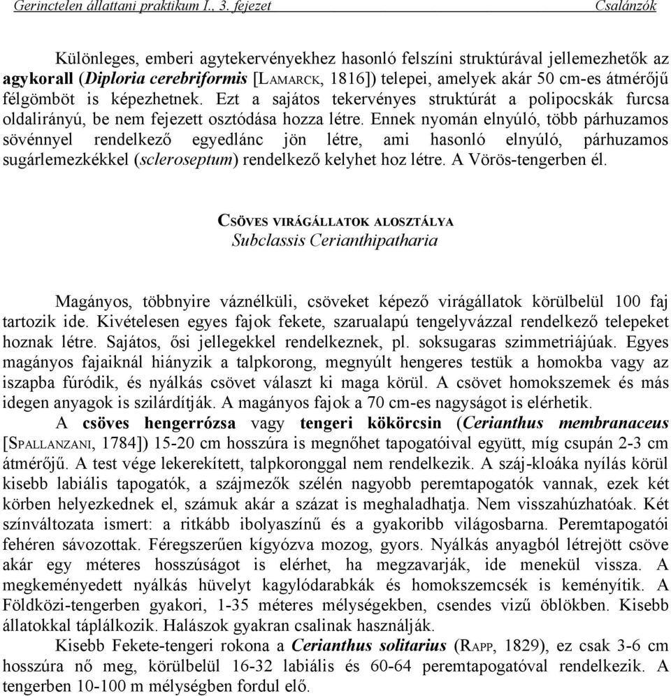 Ennek nyomán elnyúló, több párhuzamos sövénnyel rendelkező egyedlánc jön létre, ami hasonló elnyúló, párhuzamos sugárlemezkékkel (scleroseptum) rendelkező kelyhet hoz létre. A Vörös-tengerben él.