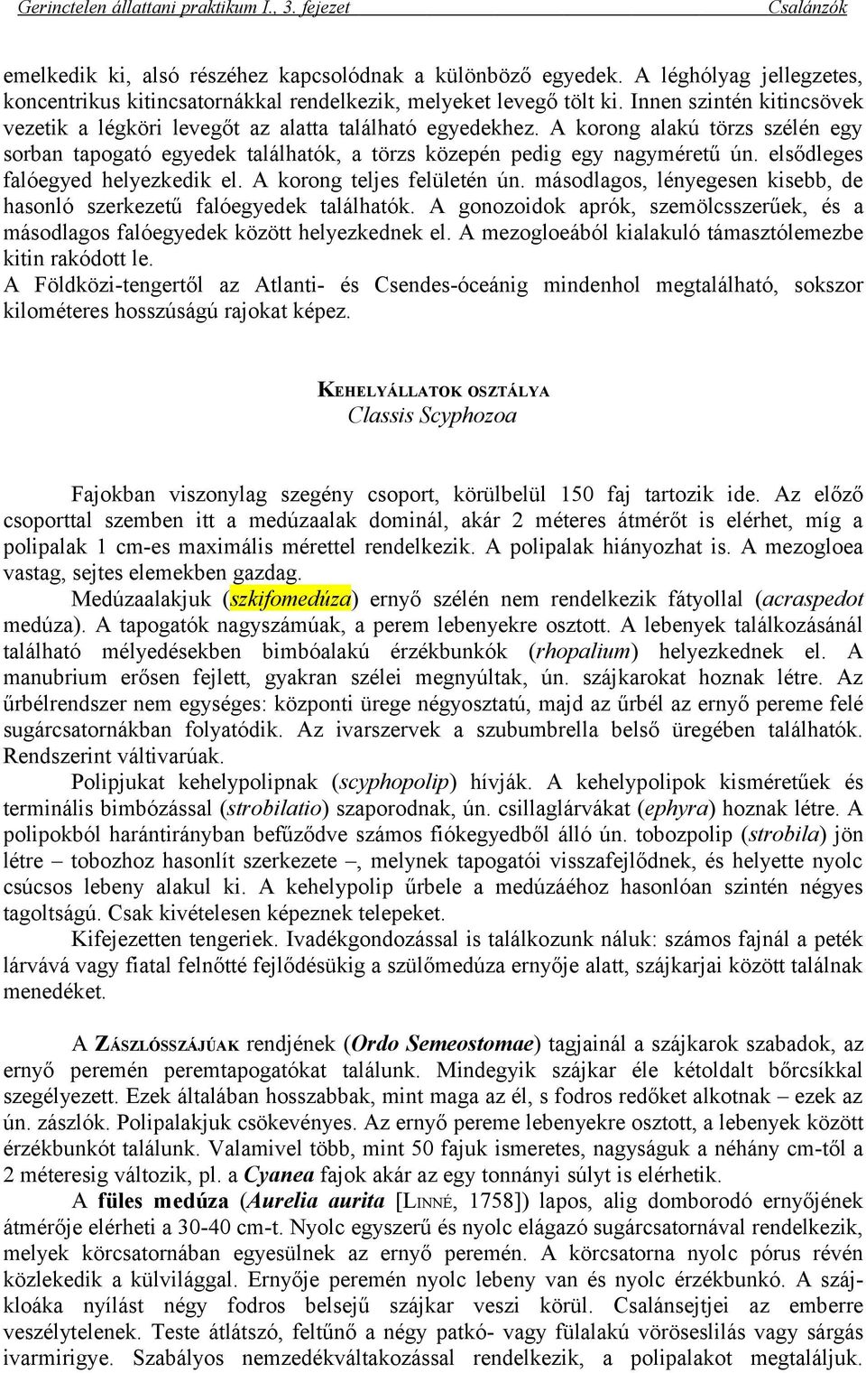 elsődleges falóegyed helyezkedik el. A korong teljes felületén ún. másodlagos, lényegesen kisebb, de hasonló szerkezetű falóegyedek találhatók.