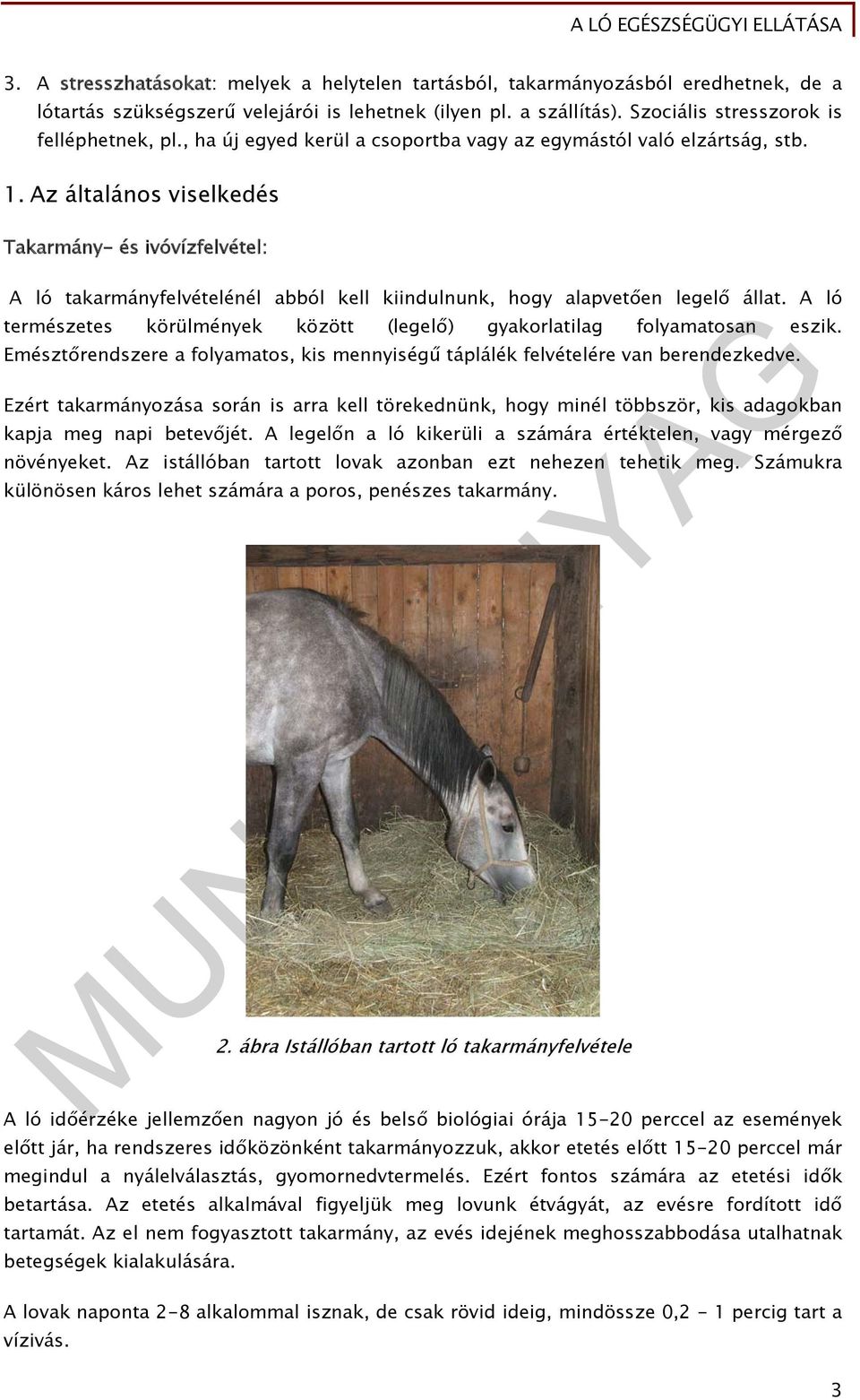 ló szív-egészségügyi lovak)