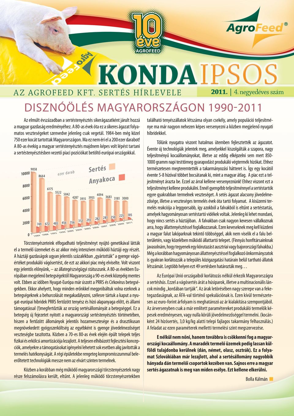 A 80-as évek óta ez a sikeres ágazat folyamatos veszteségeket szenvedve jelenleg csak vegetál. 1984-ben még közel 750 ezer kocát tartottak Magyarországon. Ma ez nem éri el a 200 ezer darabot!