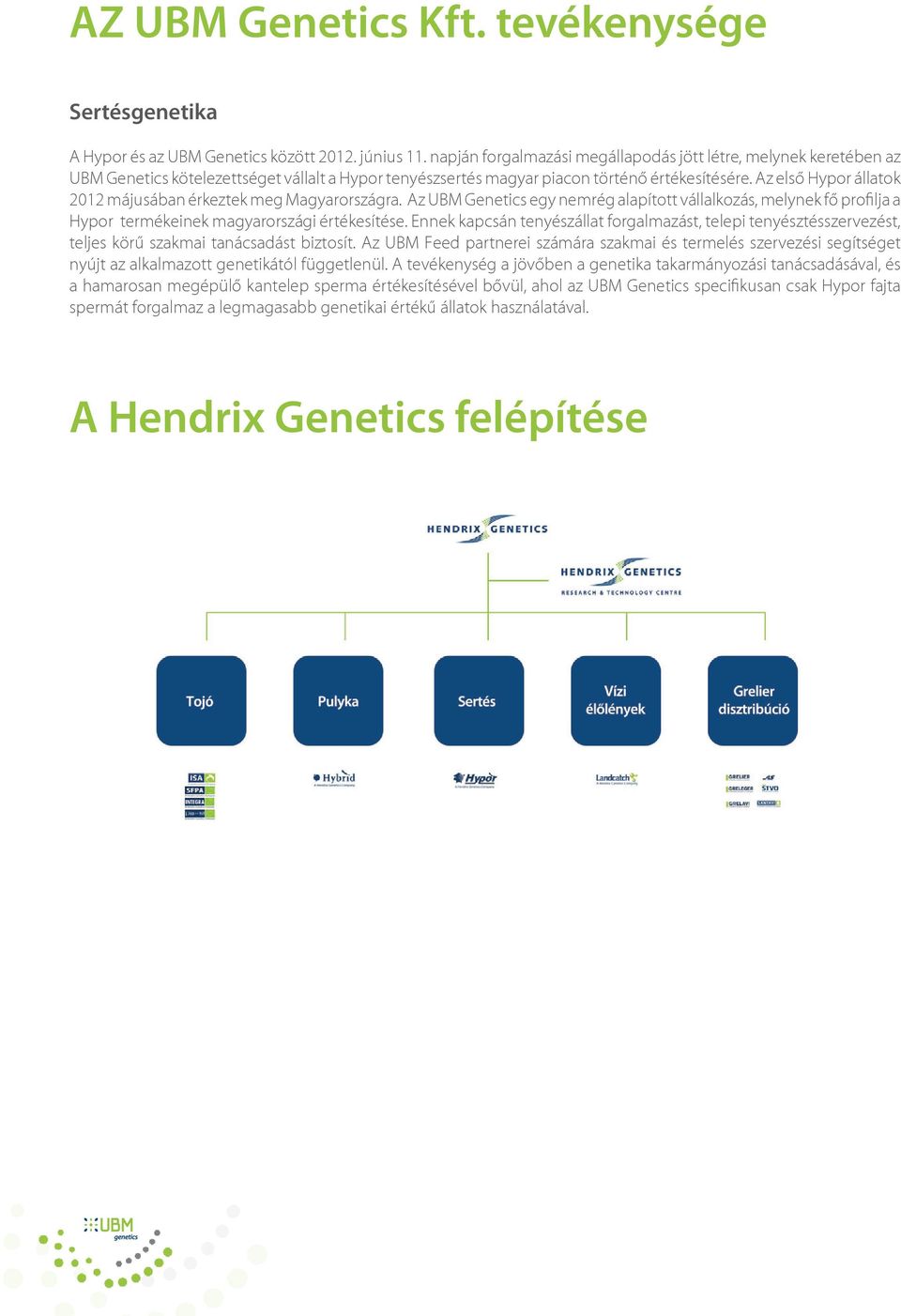 Az első Hypor állatok 2012 májusában érkeztek meg Magyarországra. Az UBM Genetics egy nemrég alapított vállalkozás, melynek fő profilja a Hypor termékeinek magyarországi értékesítése.