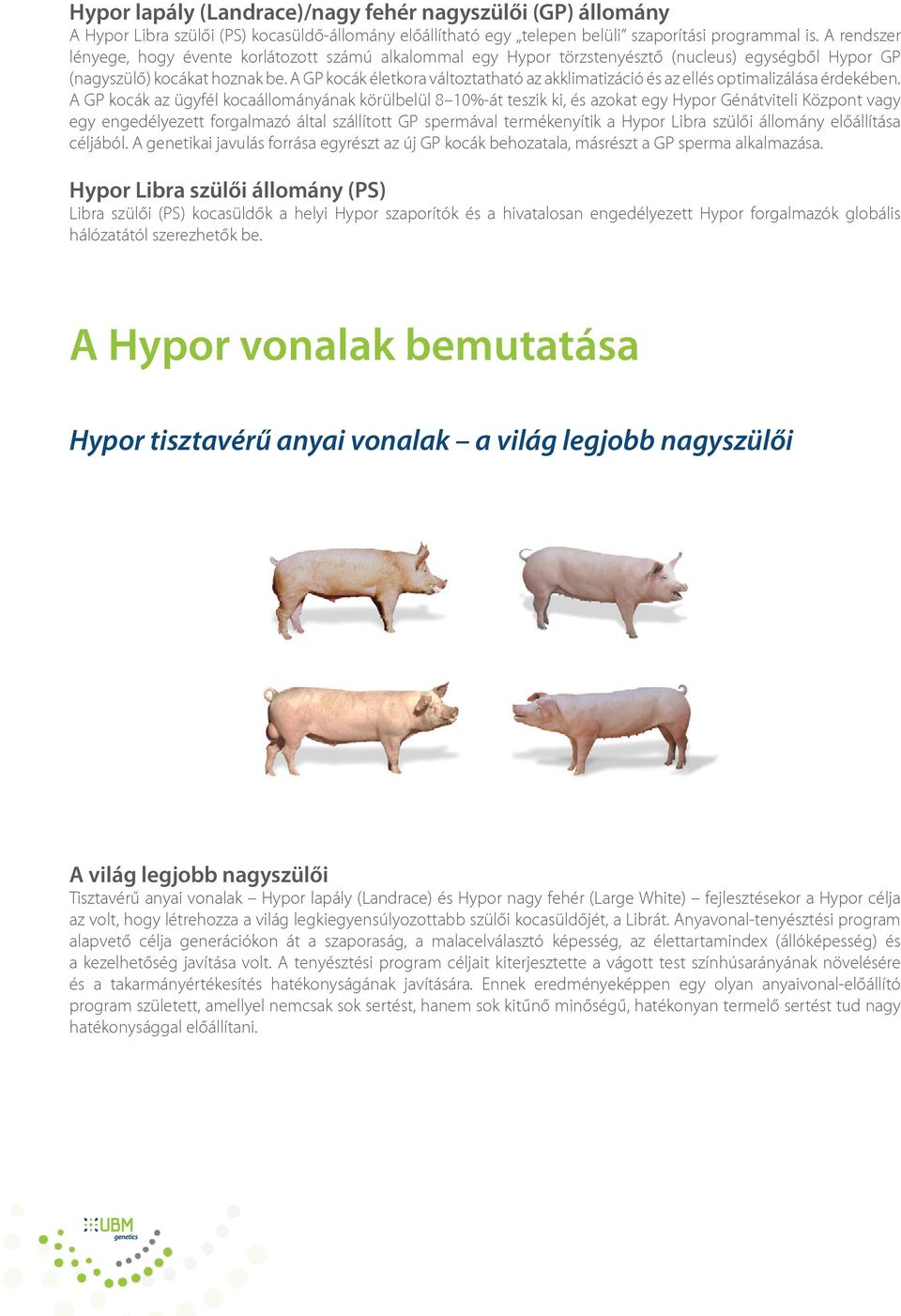 A GP kocák életkora változtatható az akklimatizáció és az ellés optimalizálása érdekében.