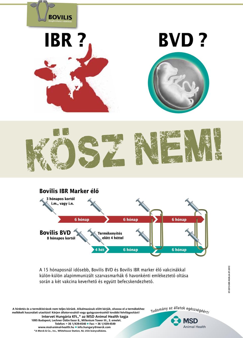 Bovilis BVD 8 hónapos kortól 6 hónap Termékenyítés előtt 4 héttel 6 hónap 6 hónap 4 hét 6 hónap 6 hónap A 15 hónaposnál idősebb, Bovilis BVD és Bovilis IBR marker élő vakcinákkal külön-külön