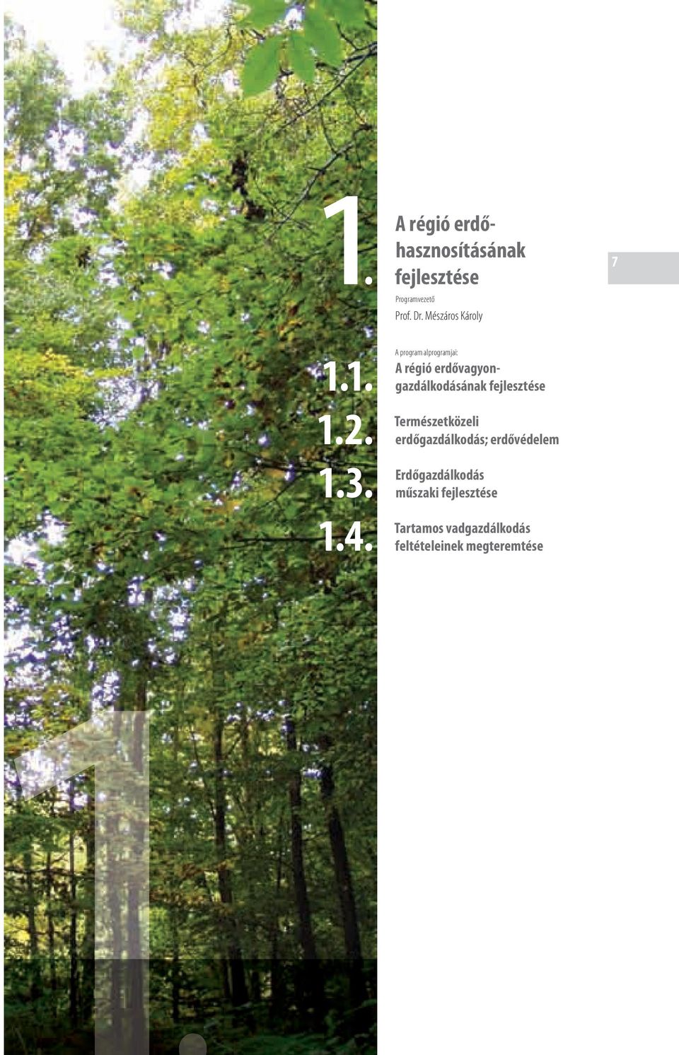 1. 1.. 1.3. 1.. A program alprogramjai: A régió erdővagyongazdálkodásának