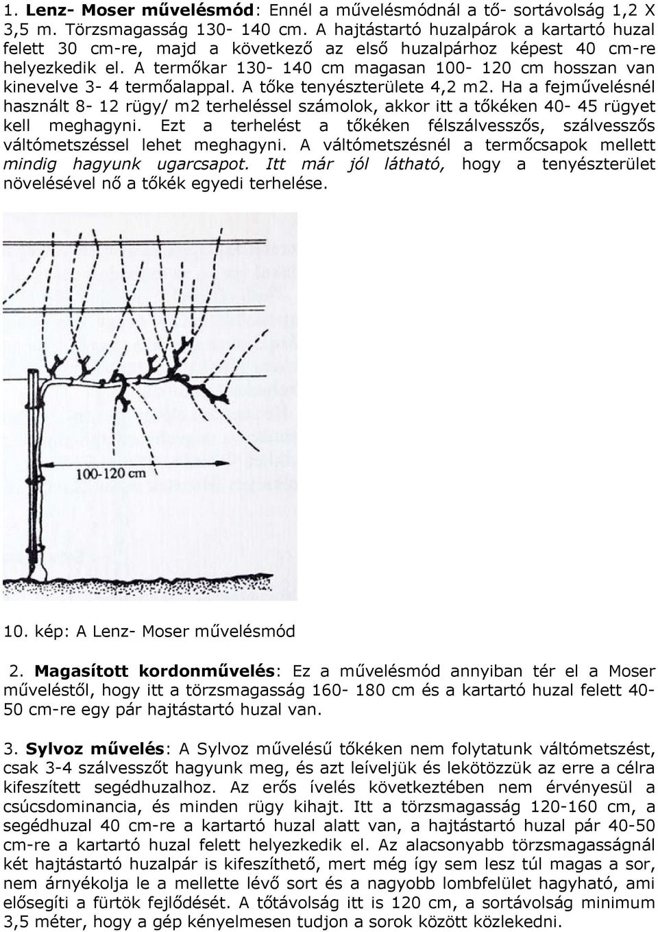 A termőkar 130-140 cm magasan 100-120 cm hosszan van kinevelve 3-4 termőalappal. A tőke tenyészterülete 4,2 m2.