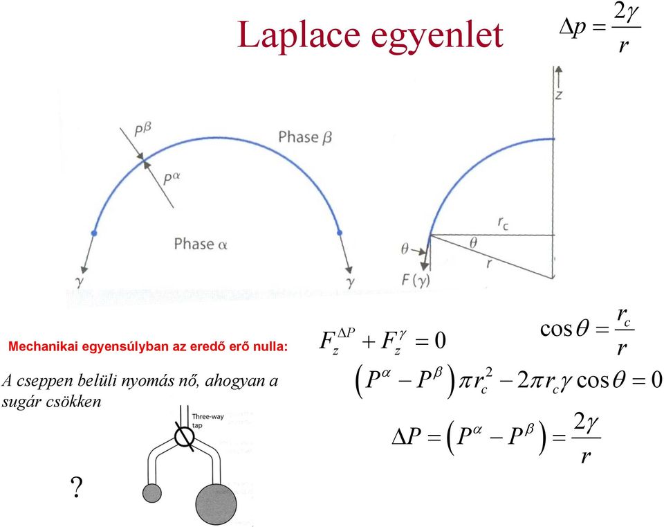 α β P P πr 2πrγ cosθ = 0 A cseppen belüli nyomás nő,