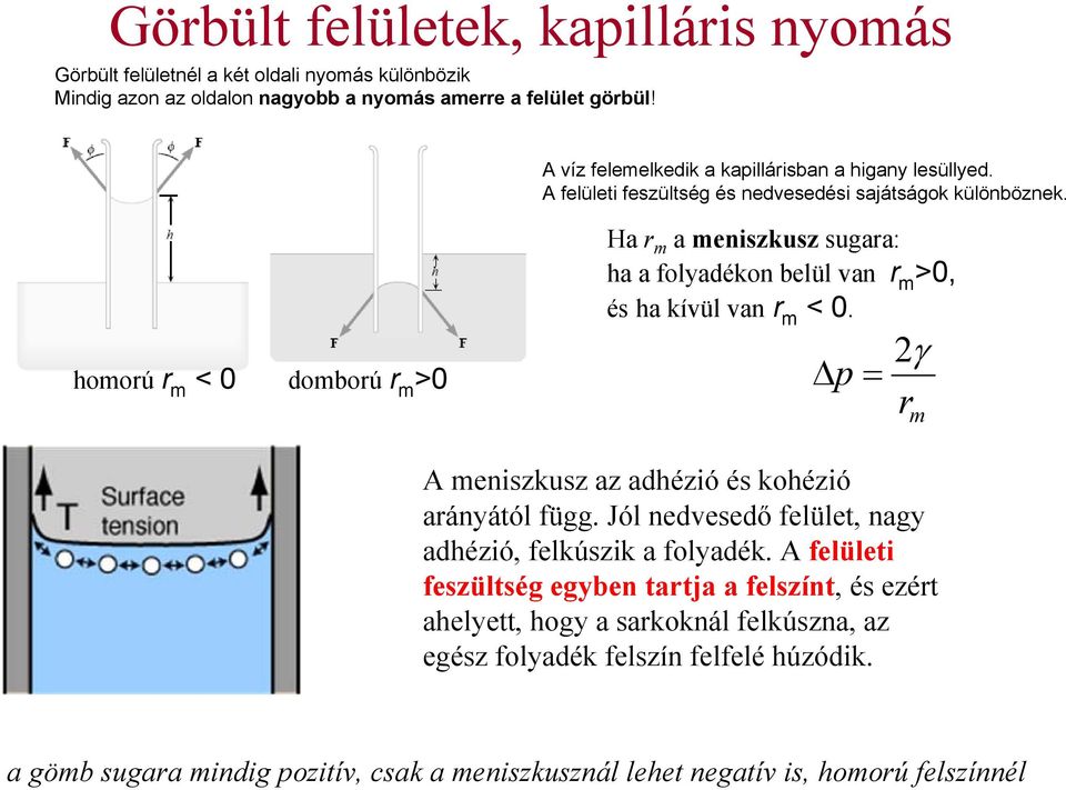 homorú r m < 0 domború r m >0 Ha r m a meniszkusz sugara: ha a folyadékon belül van r m >0, és ha kívül van r m < 0. Δ p = 2γ r m A meniszkusz az adhézió és kohézió arányától függ.