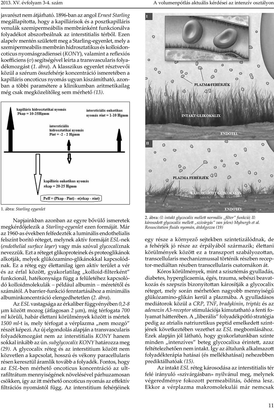 Ezen alapelv mentén született meg a Starling-egyenlet, mely a szemipermeabilis membrán hidrosztatikus és kolloidoncoticus nyomásgradiensei (KONY), valamint a re exiós koe ciens ( ) segítségével