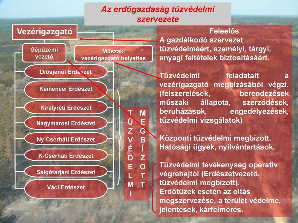 Tűzvédelmi feladatait a vezérigazgató megbízásából végzi.