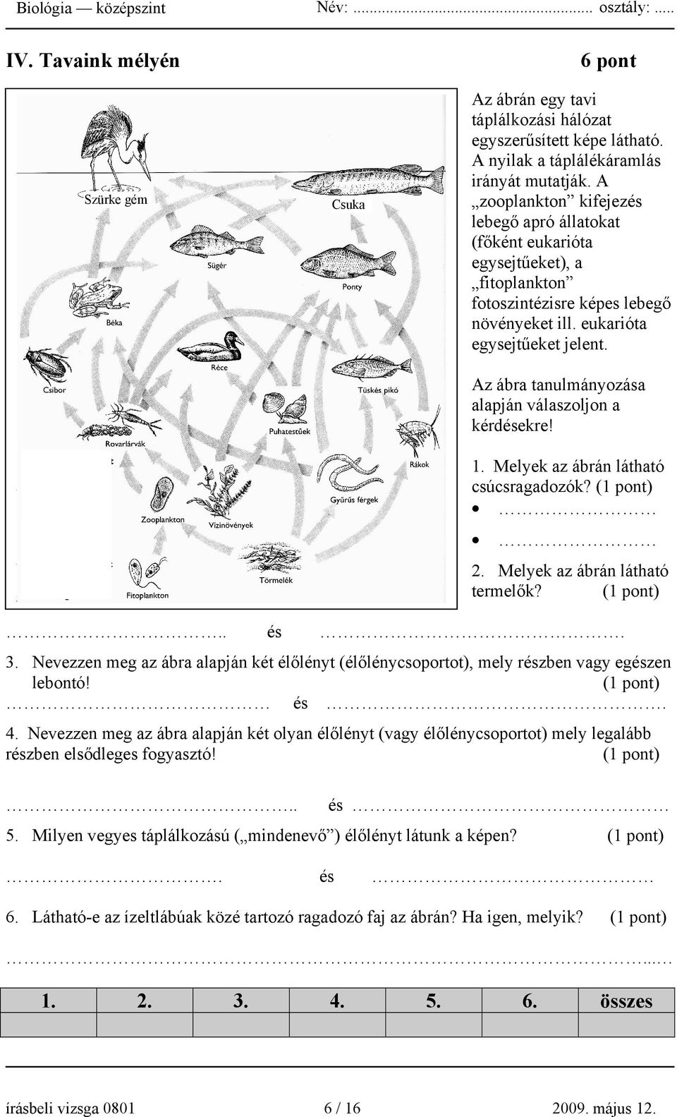 Az ábra tanulmányozása alapján válaszoljon a kérdésekre! 1. Melyek az ábrán látható csúcsragadozók? 2. Melyek az ábrán látható termelők?.. és. 3.