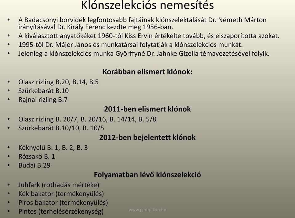 Jelenleg a klónszelekciós munka Györffyné Dr. Jahnke Gizella témavezetésével folyik. Olasz rizling B.20, B.14, B.5 Szürkebarát B.10 Rajnai rizling B.